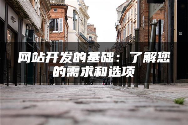網(wǎng)站開發(fā)的基礎(chǔ)：了解您的需求和選項